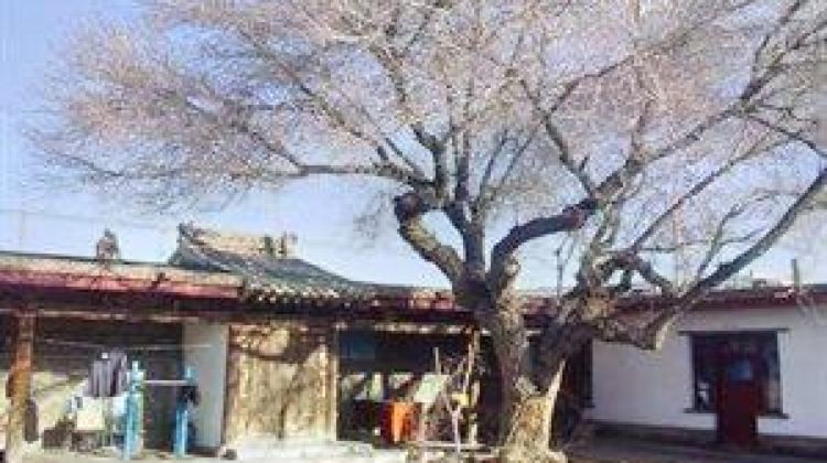 巴里坤古民宅图7
