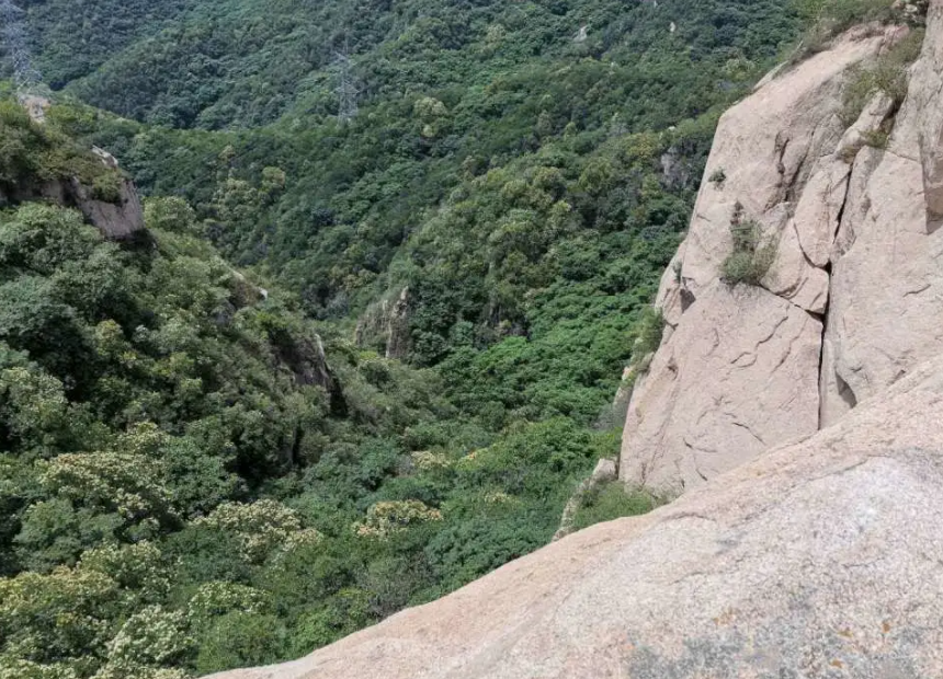双龙山森林公园图2