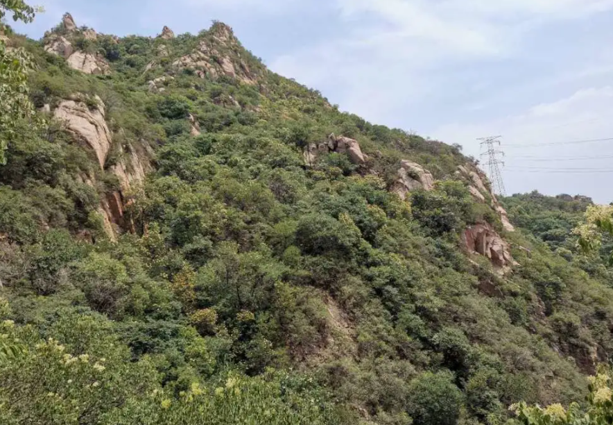 双龙山森林公园图3