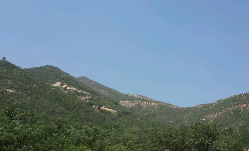 双龙山森林公园