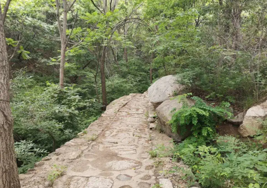 双龙山森林公园图4
