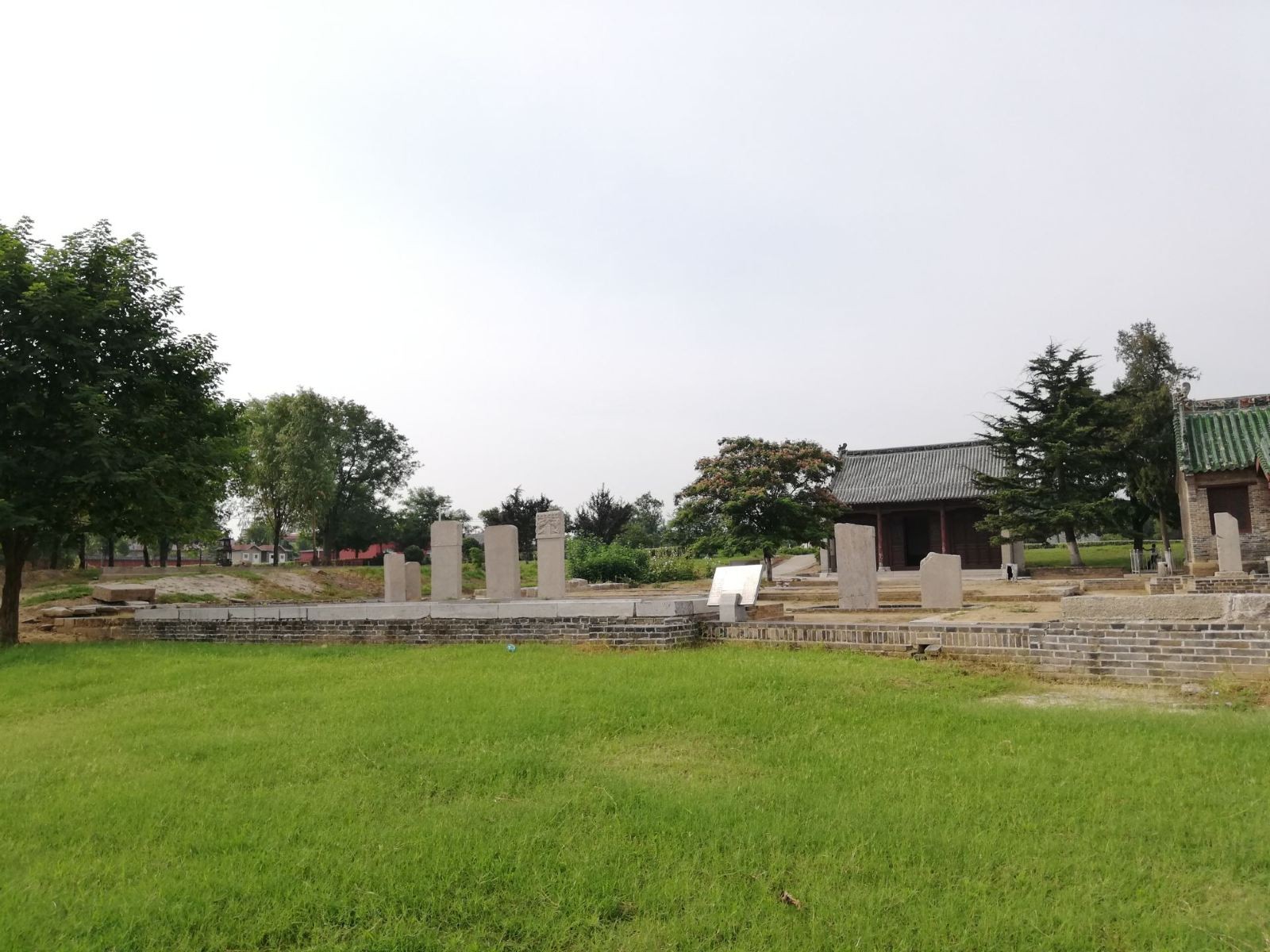 夏津黄河故道森林公园图7