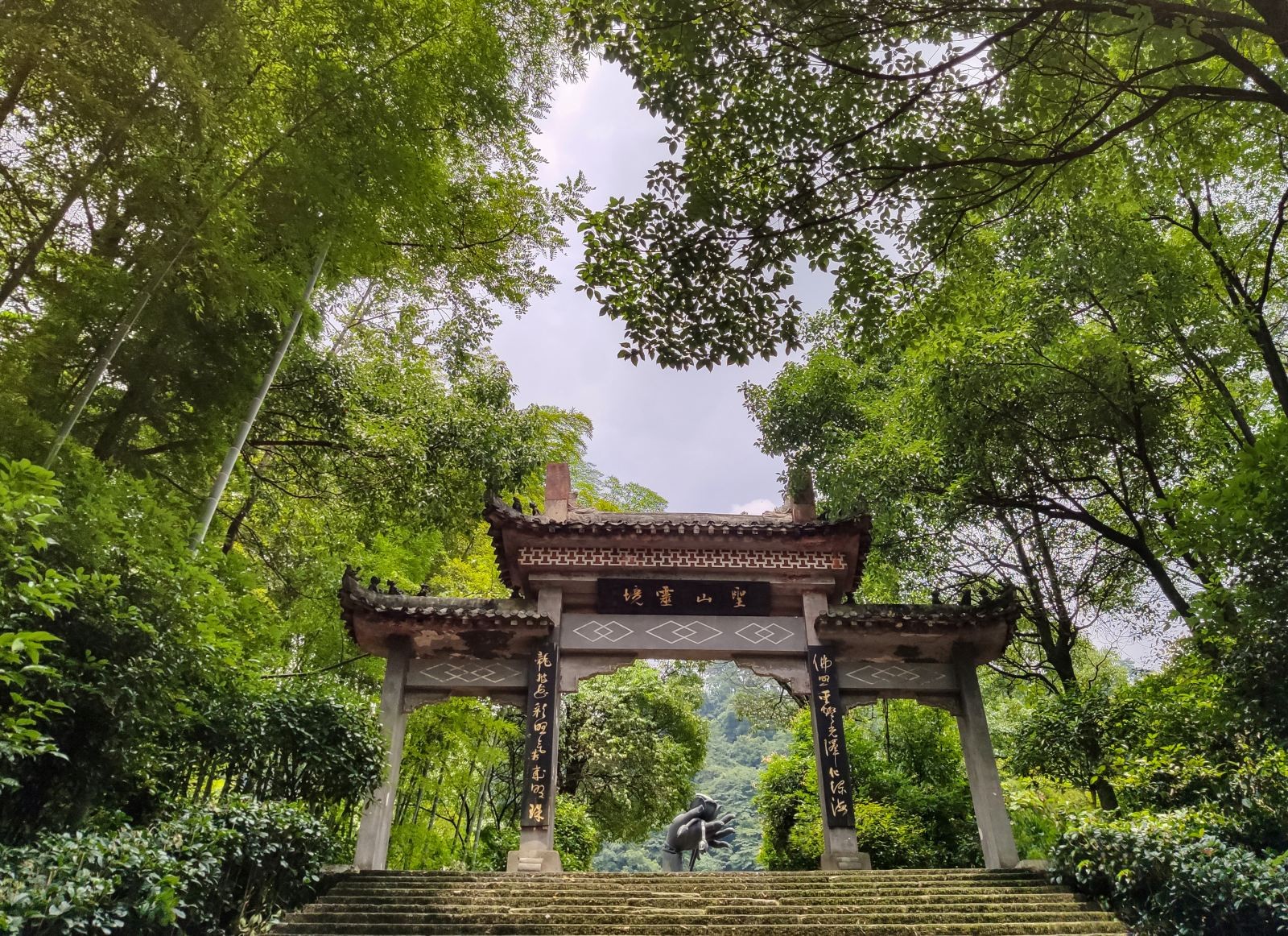 圣灯山森林公园图7