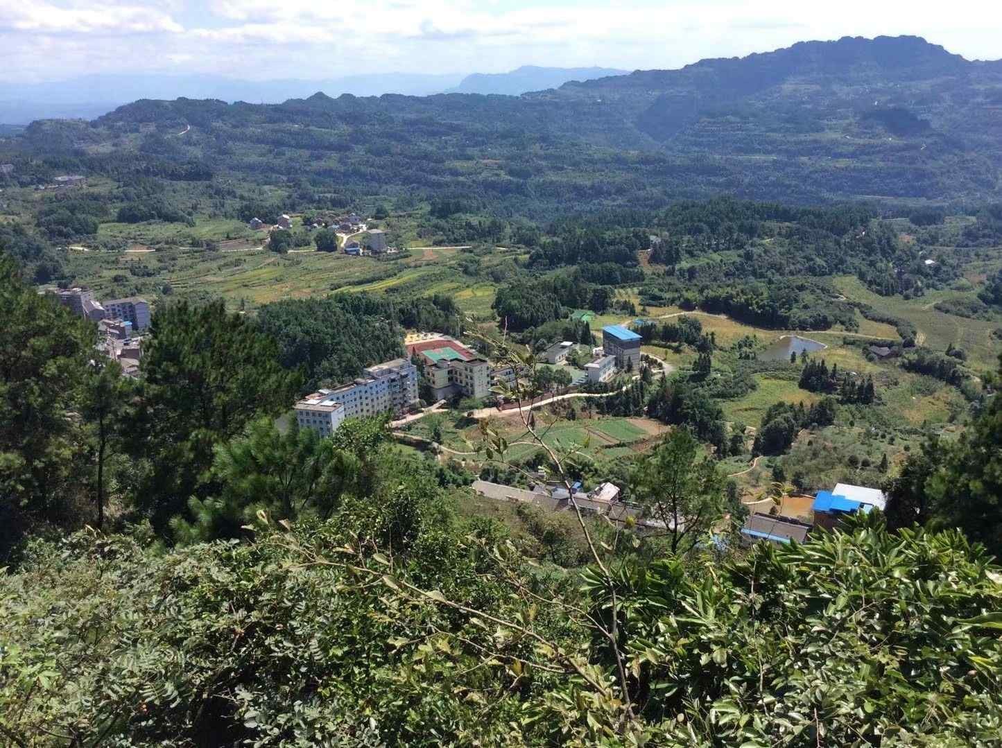 圣灯山森林公园图4