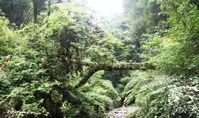 金竹山寨图3