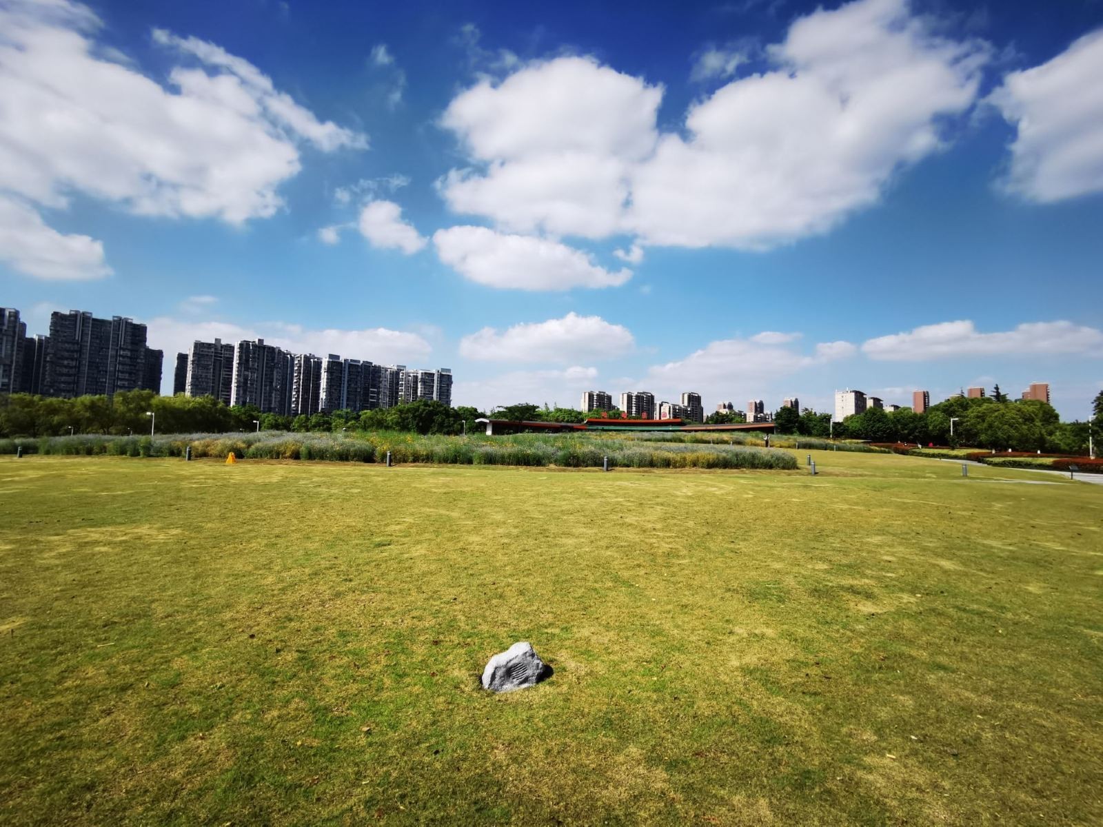 白塘生态植物园图3
