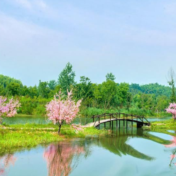 桃花源图6