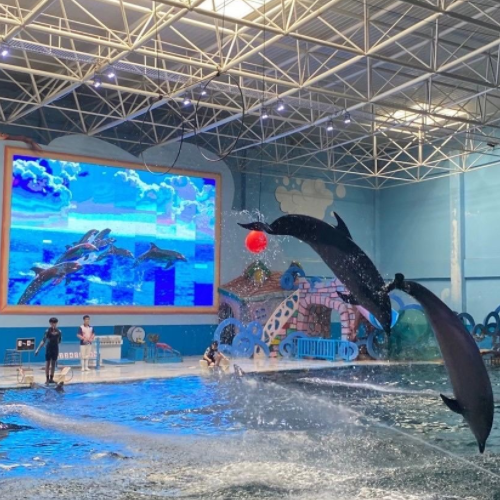 蓬莱海洋极地世界图4
