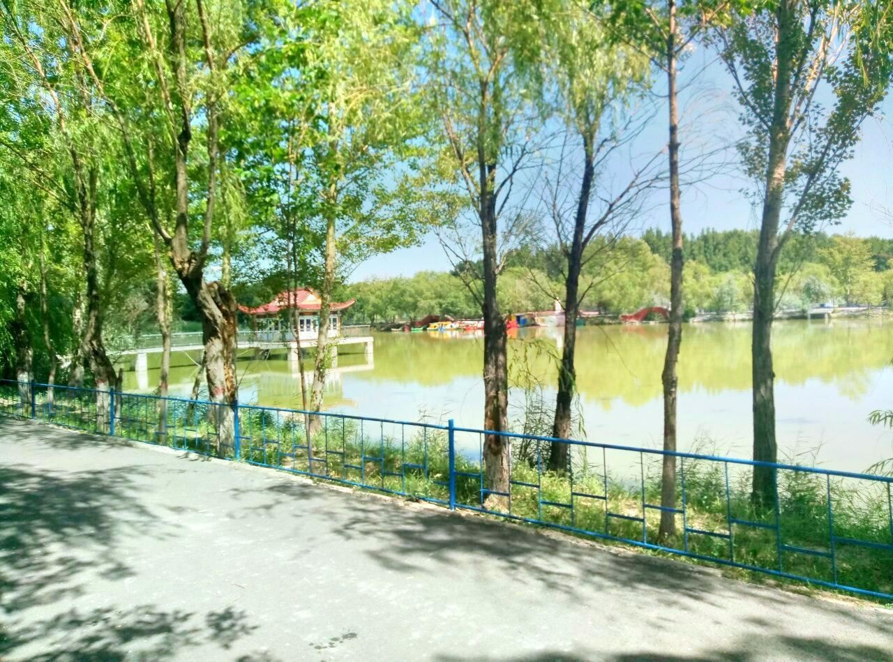 垂钓公园图6