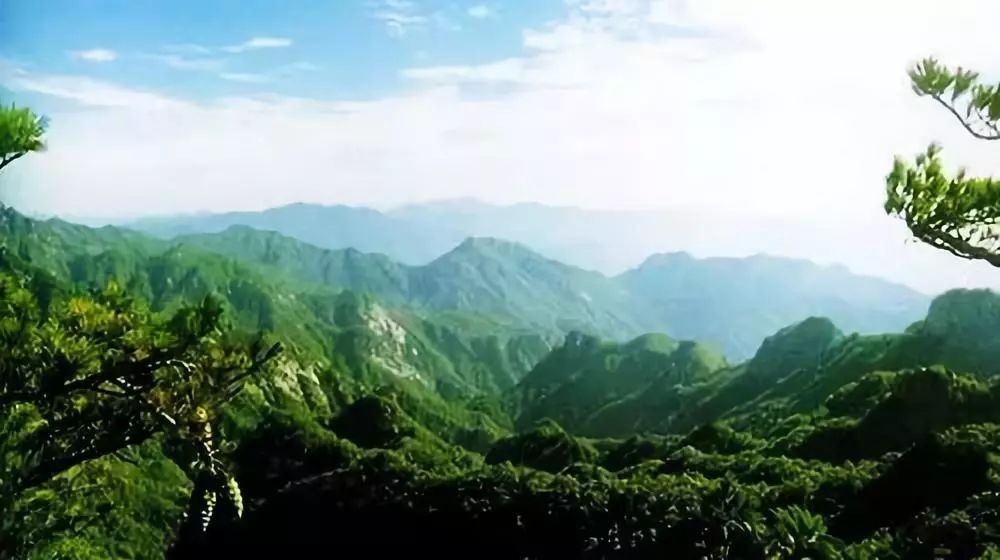 夏家沟森林公园图3