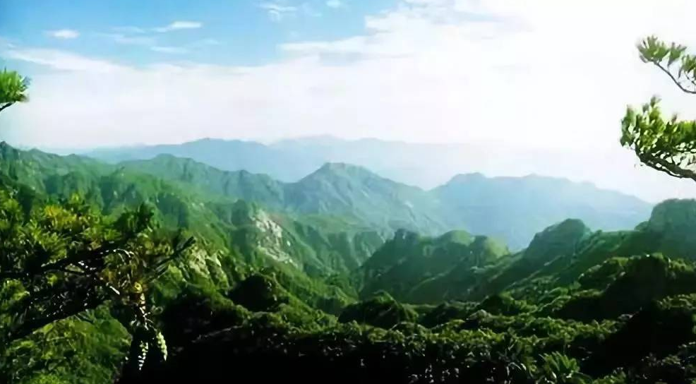 夏家沟森林公园图5