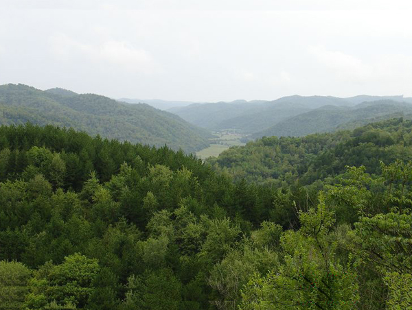 夏家沟森林公园