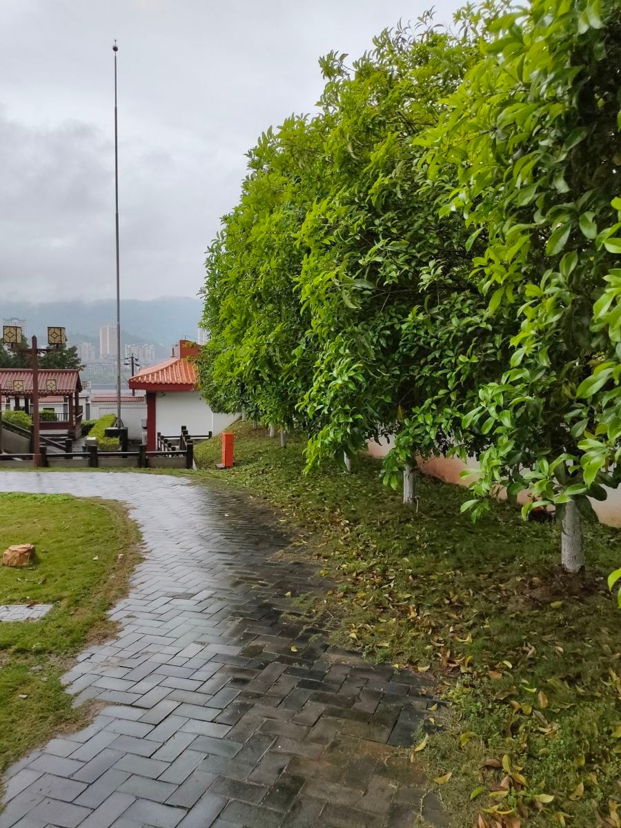 刘伯承同志纪念馆图3