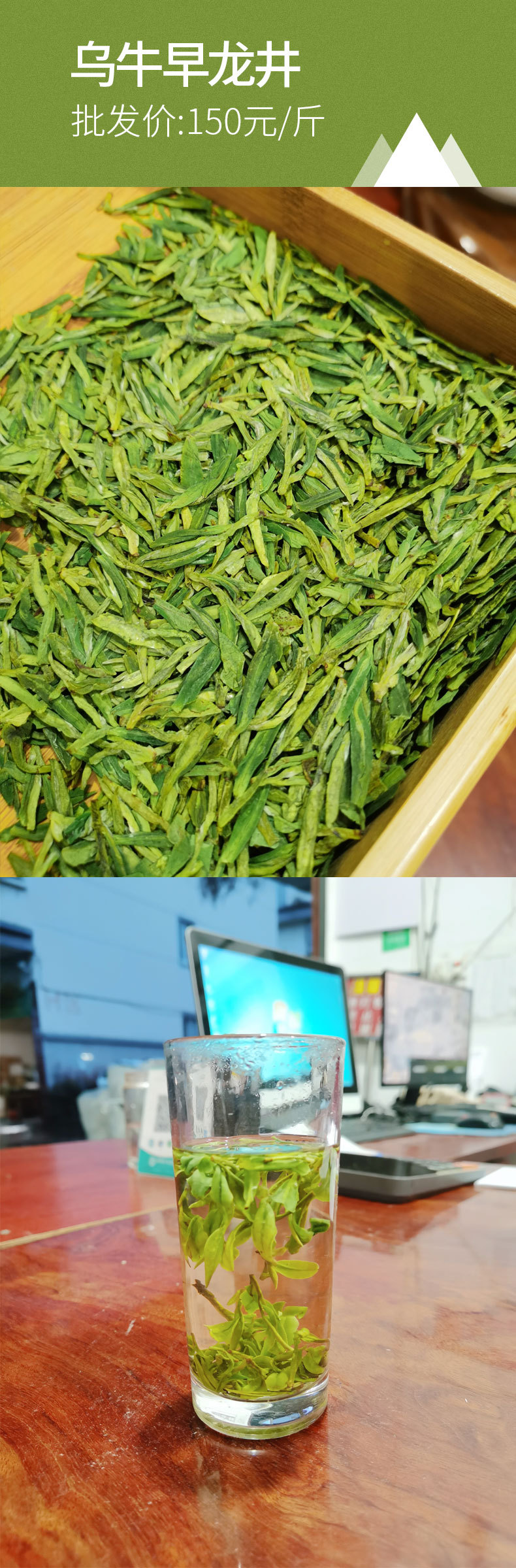 乌牛早龙井-150