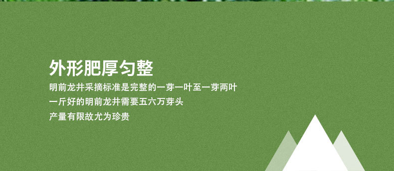 龙井绿茶