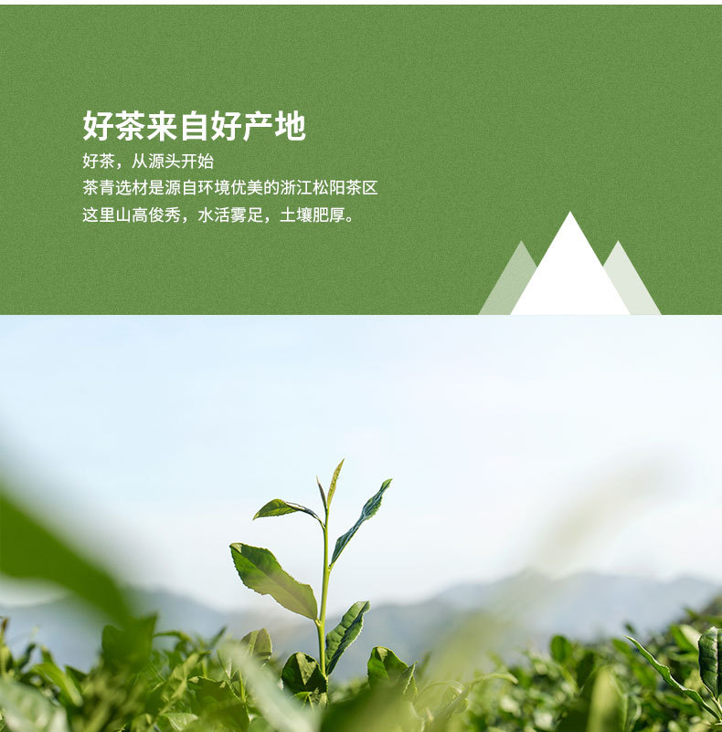 龙井绿茶