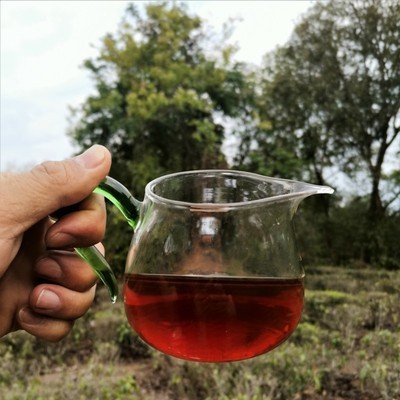 老班章熟普洱 勐海乔木普洱茶 云南特产老树熟饼厂货直供实体店图4