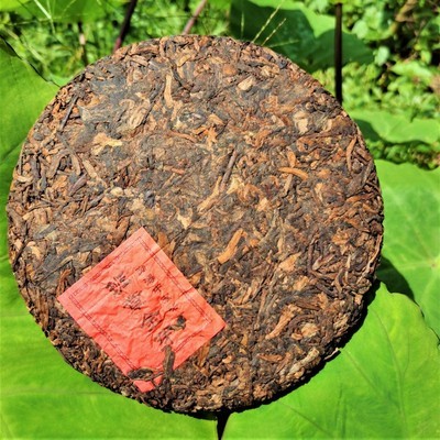 老班章普洱金芽熟茶 班章金芽贡饼 云南生态普洱茶实体工厂直销图2