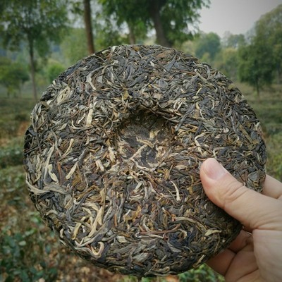 中宏印勐库茶 2020年头春生普洱茶 云南茶饼厂货大量直供电商图3