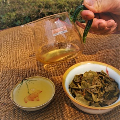 中宏印勐库茶 2020年头春生普洱茶 云南茶饼厂货大量直供电商图4