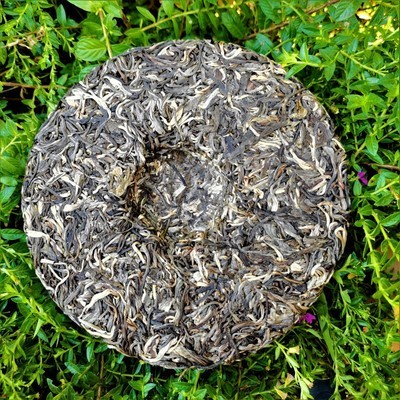 中宏印曼松普洱生茶饼 易武纯料古树茶 七子饼普洱茶饼厂家直销图3