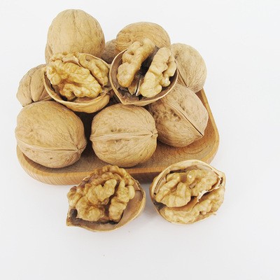 新疆特产纸皮核桃 阿克苏薄皮核桃185型新货厂家直销量大从优图2