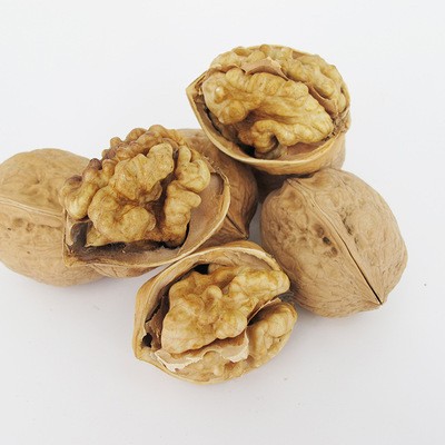 新疆特产纸皮核桃 阿克苏薄皮核桃185型新货厂家直销量大从优图4