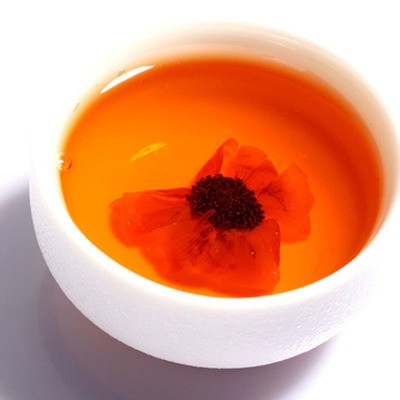 新疆特产雪菊昆仑雪菊高寒雪菊天山雪菊批发2017年 新货包邮图5