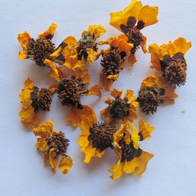 新疆特产雪菊昆仑雪菊花草茶2019年克里阳雪菊茶叶量大从优菊花
