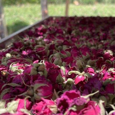 新疆和田大马士革玫瑰花产地直发散货箱装新鲜干玫瑰花蕾花茶新货图3