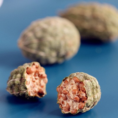 新疆特产野西瓜200g*5袋野生小西瓜中药材泡酒料腰腿关节勾刺槌果图2