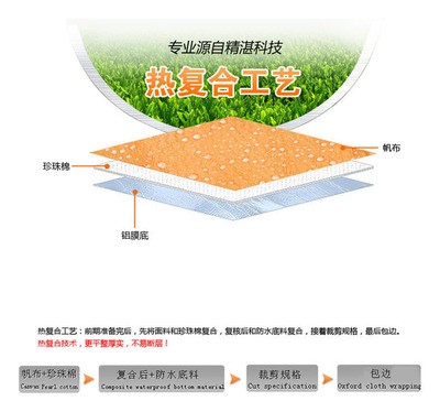 厂家生产直销户外防水防潮帆布印花野餐垫 折叠旅游垫 户外沙滩垫图4