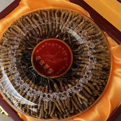 西藏那曲冬虫夏草-精选四条一克 顺丰包邮支持到付图4