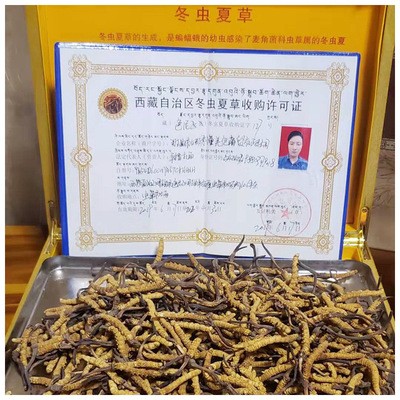 西藏那曲冬虫夏草-精选四条一克 顺丰包邮支持到付图5