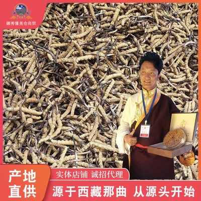 那曲藏虫冬虫夏草西藏-虫草王 顺丰包邮冬虫夏草产地货源批发