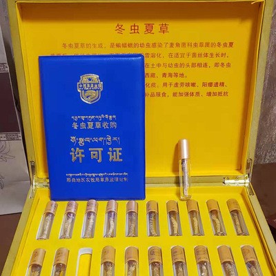 那曲藏虫冬虫夏草西藏-虫草王 顺丰包邮冬虫夏草产地货源批发图2