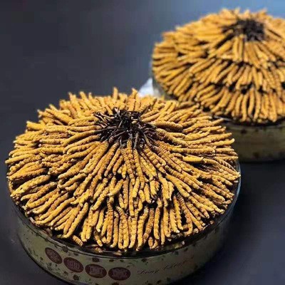 那曲藏虫冬虫夏草西藏-虫草王 顺丰包邮冬虫夏草产地货源批发图4