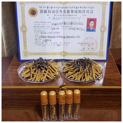 那曲藏虫冬虫夏草西藏-虫草王 顺丰包邮冬虫夏草产地货源批发图5