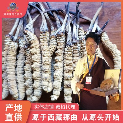 西藏那曲冬虫夏草精选三条一克 顺丰包邮精 支持到付