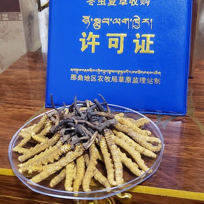 2021西藏那曲冬虫夏草-精选两条一克 顺丰包邮 支持到付虫草批发图2