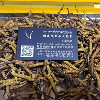 西藏那曲冬虫夏草-统货四条一克 产地货源代发代理 冬虫夏批发图3