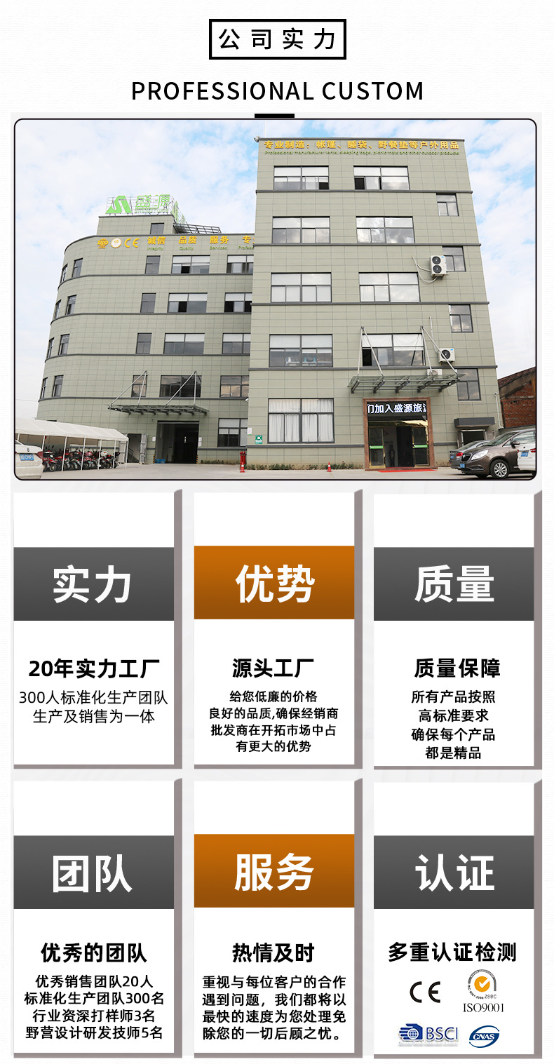 公司实力