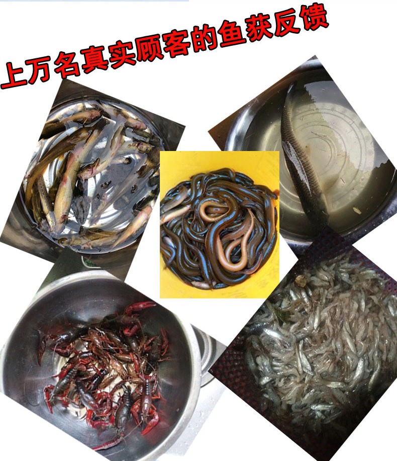 鳄图腾2.2米抓鱼网折叠渔网抓甲鱼龙虾网自动捕鱼虾网鱼网虾渔具图2