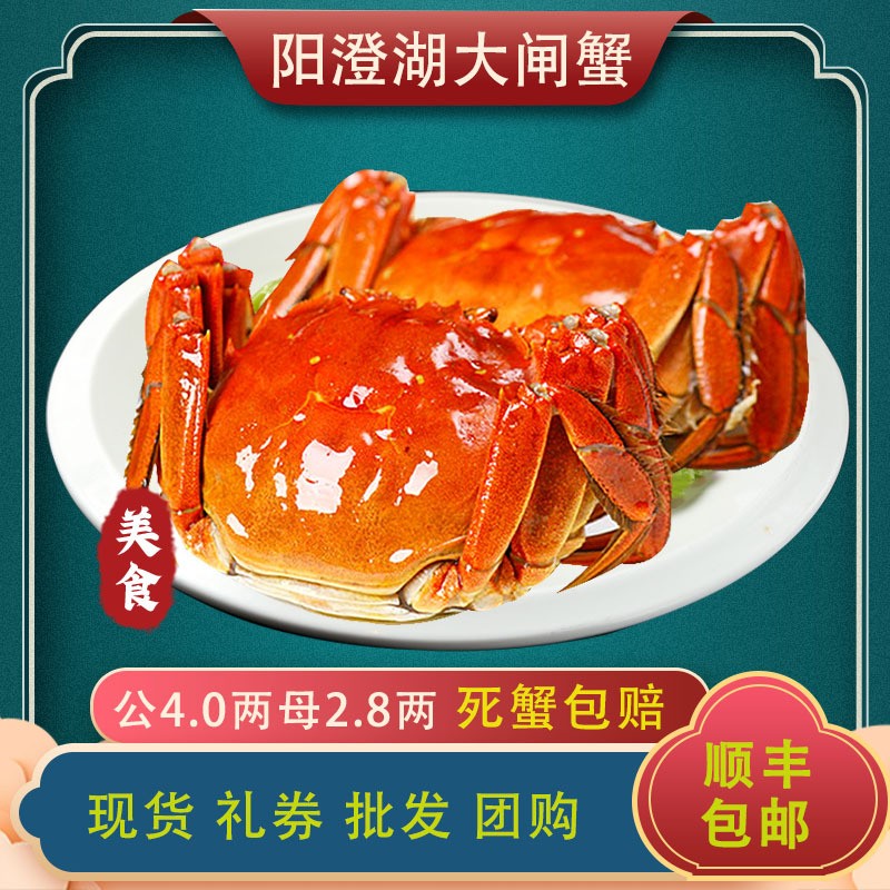 自产自销大闸蟹 大闸蟹鲜活螃蟹公蟹4.0两 母蟹2.8 共12只批发图2