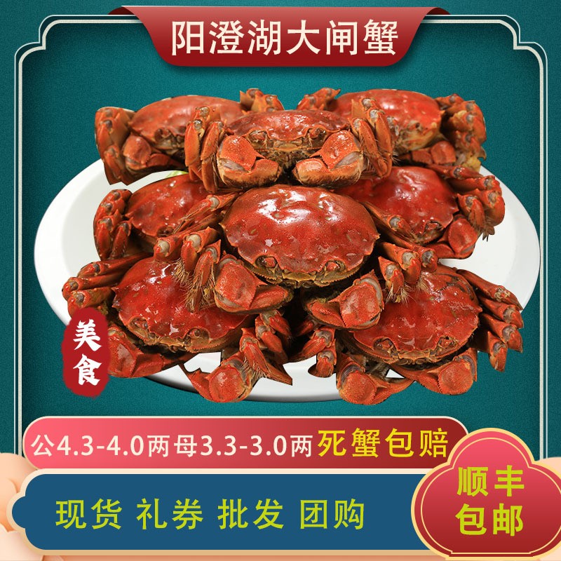生鲜中秋礼物 阳澄湖大闸蟹公4.3-4.0两3只母3.3-3.0两3只礼盒装
