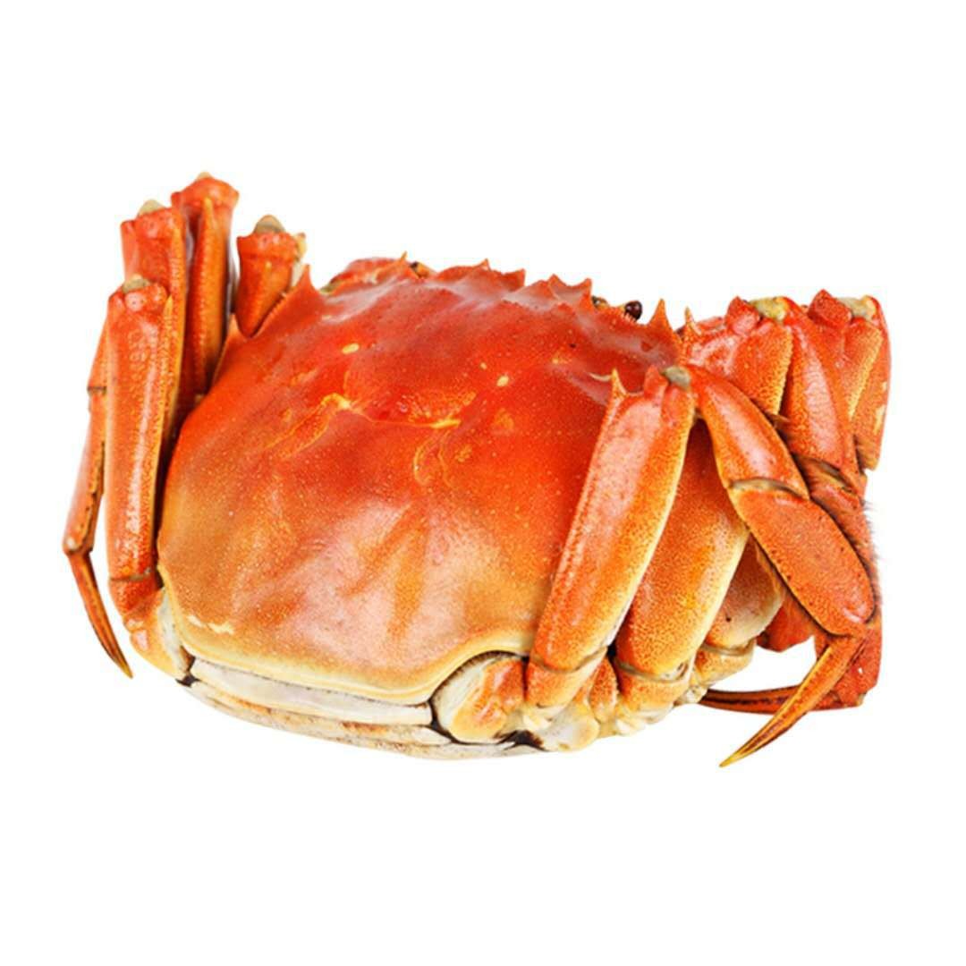 批发包邮阳澄湖大闸蟹 公3.7-3.5两5只母2.5-2.8两5只 中秋节礼品图5