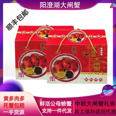 批发包邮阳澄湖大闸蟹 公3.7-3.5两5只母2.5-2.8两5只 中秋节礼品