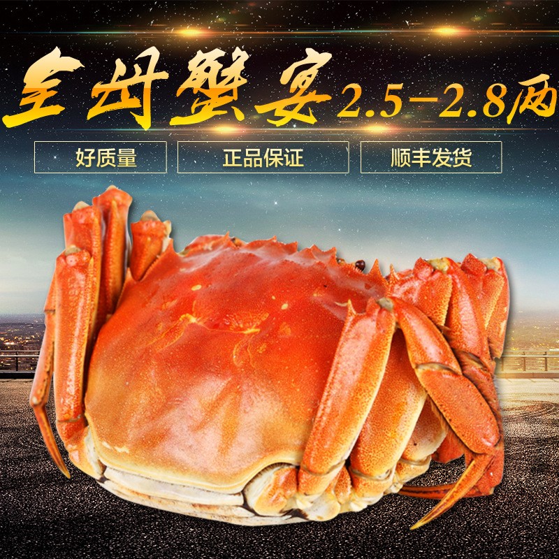 阳澄湖大闸蟹全母蟹2.5-2.8两鲜活螃蟹礼盒8只10只顺丰