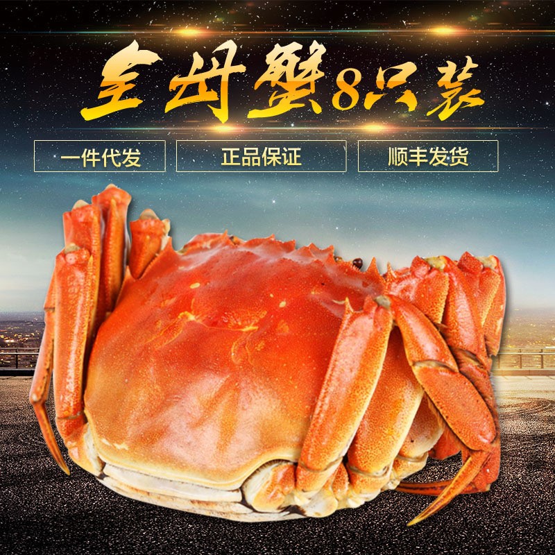 阳澄湖大闸蟹全母蟹2.5-2.8两鲜活螃蟹礼盒8只10只顺丰图2