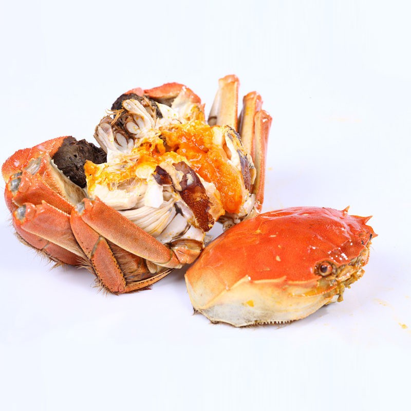 阳澄湖大闸蟹全母蟹套餐5.0-5.5两鲜活螃蟹礼盒代发【5两母蟹】图4
